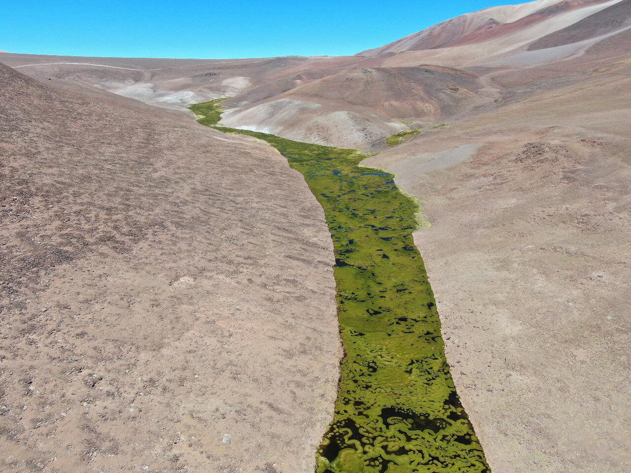 patagonia verde